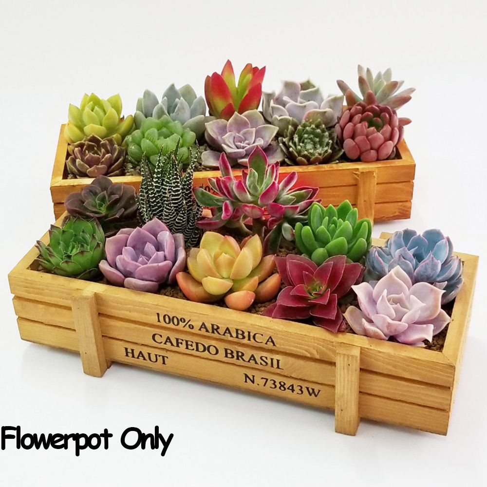 Gardening Tools Rack - 1 PC Tools Garden Decor Trough
