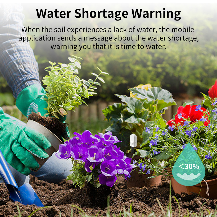 Smart ZigBee Soil Moisture Sen - огляд і ціна Moisture Meter Plant