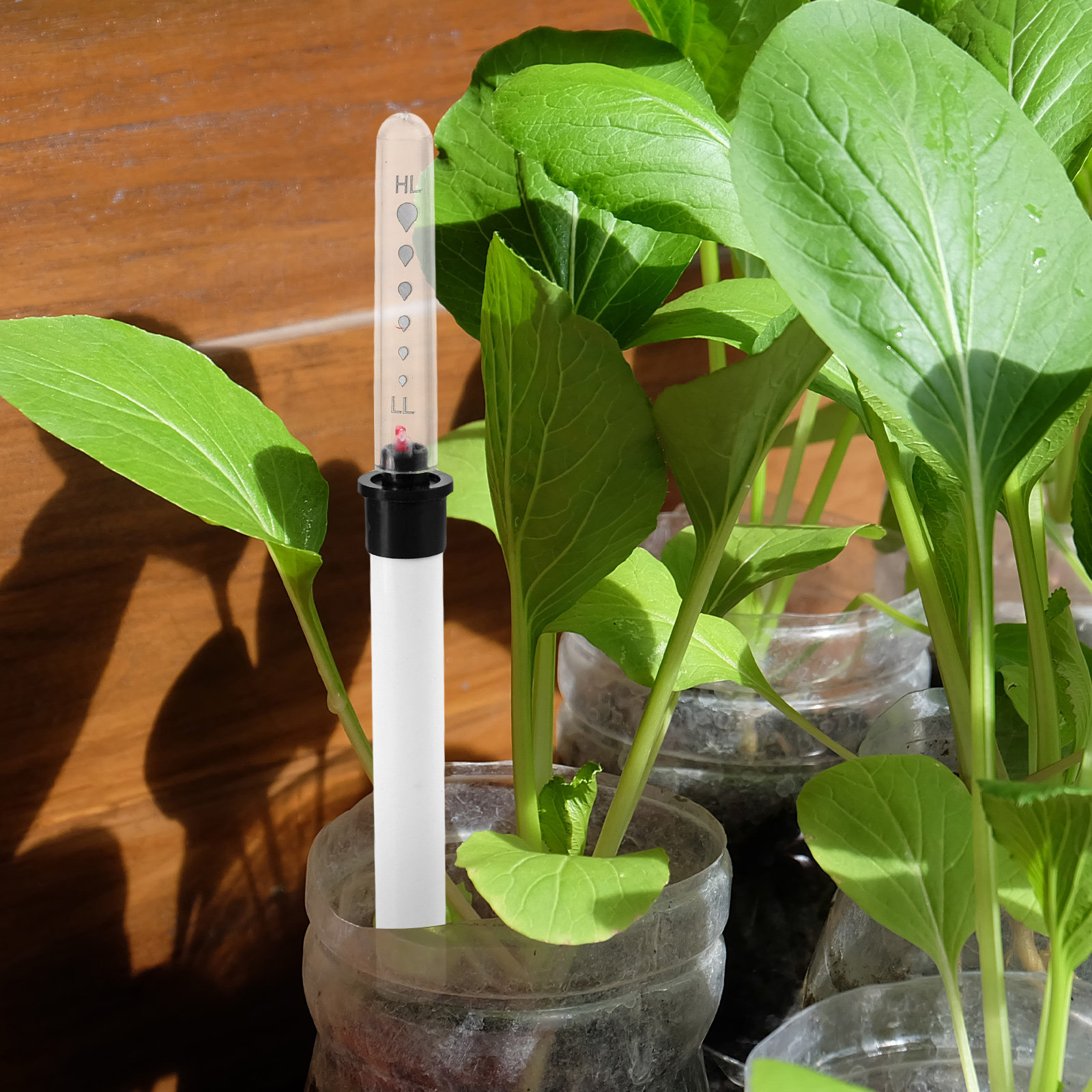 Water Table Moisture Meter for - огляд і ціна Moisture Meter Plant
