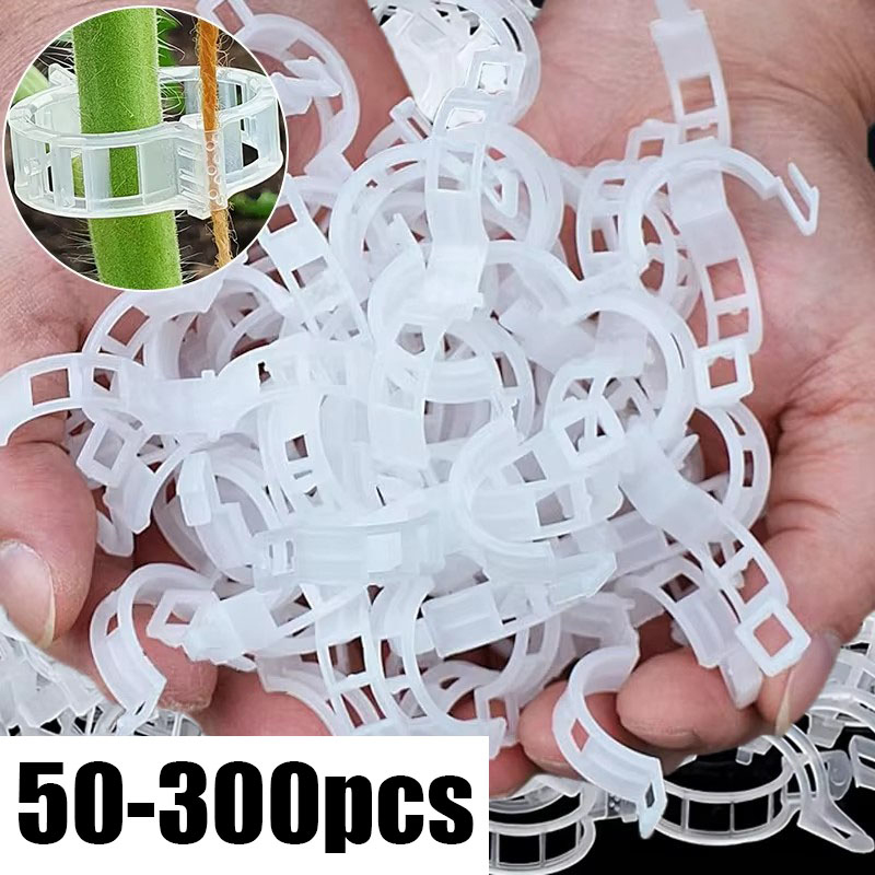 50-300PCS Plant Support Clips  - огляд і ціна Gardening Tools For Vines