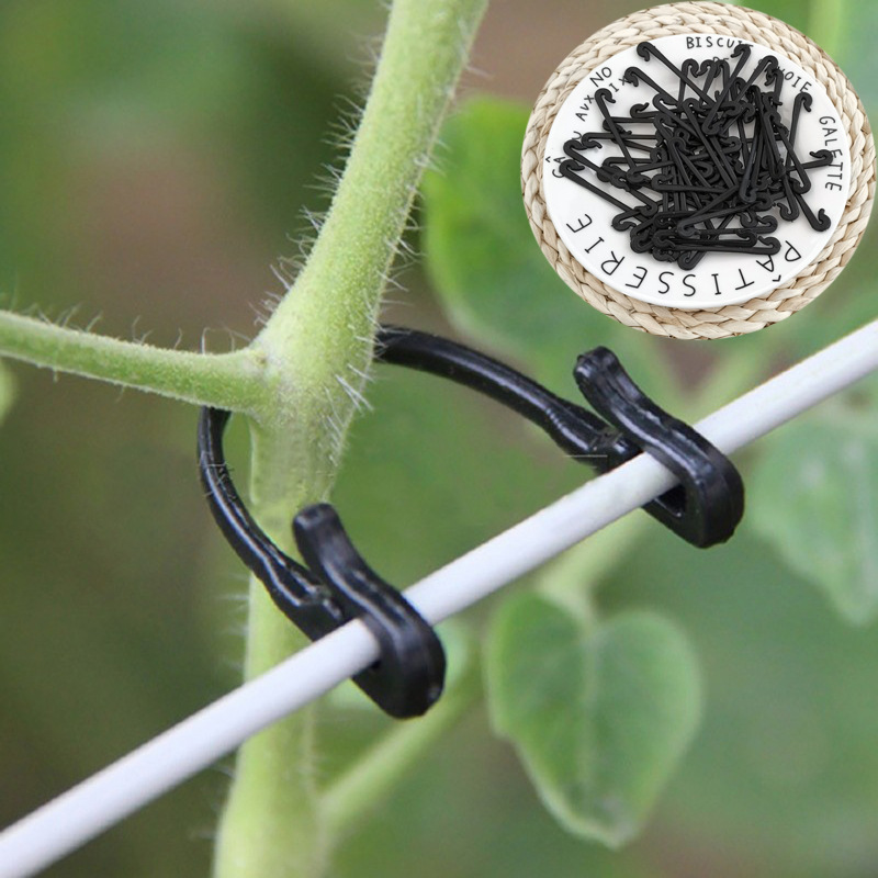 50PCS Vines Fastener Tied Clip - огляд і ціна Gardening Tools For Vines
