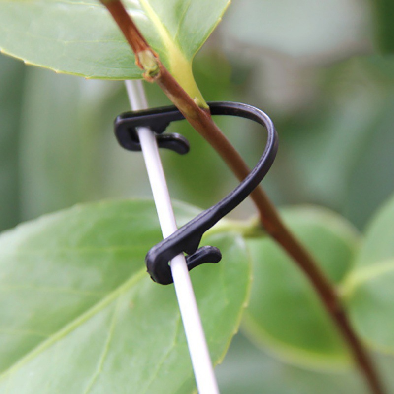 50PCS Vines Fastener Tied Clip - огляд і ціна Gardening Tools For Vines