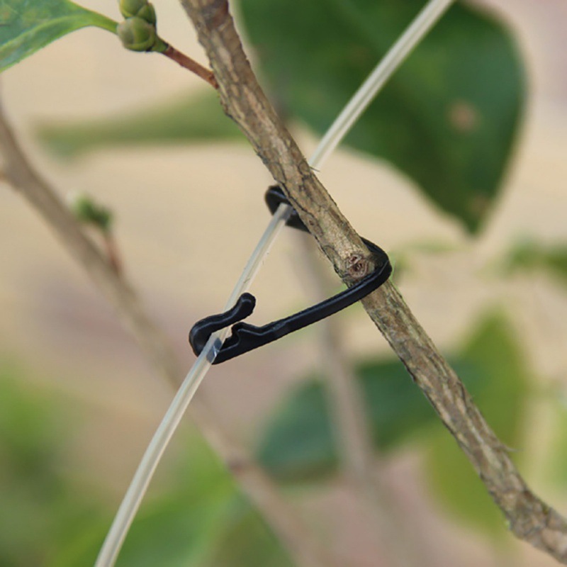 50PCS Vines Fastener Tied Clip - огляд і ціна Gardening Tools For Vines