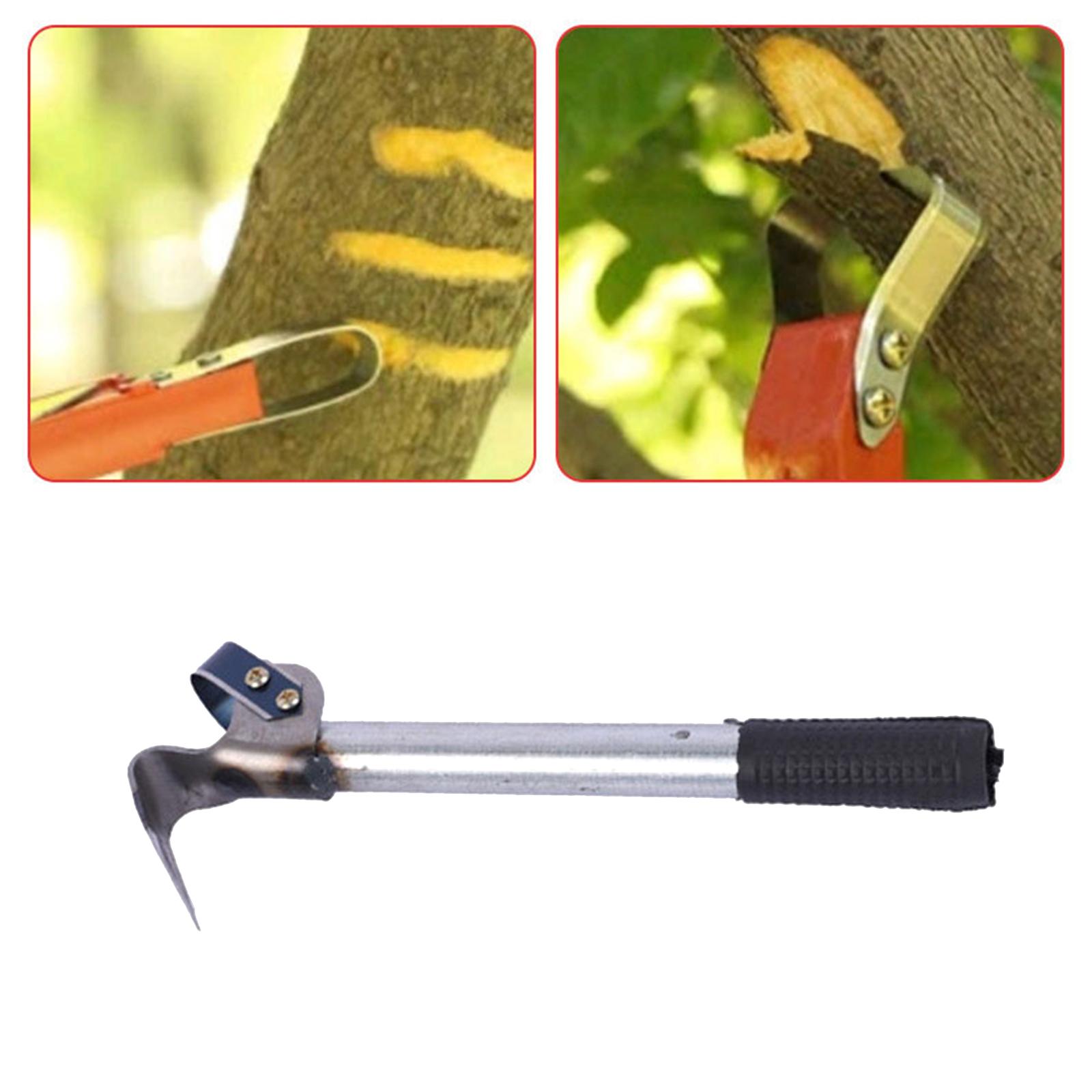 Barks Removal Tool Barks Compa - огляд і ціна Gardening Tools Drawing