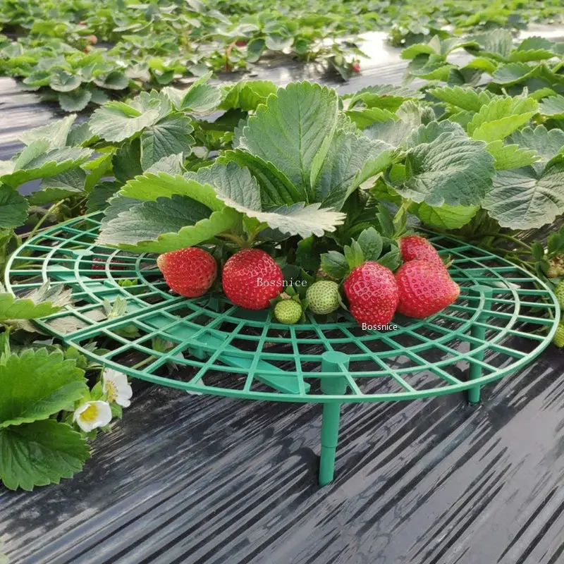 1Pc Strawberry Plant Support R - огляд і ціна Gardening Tools Rack
