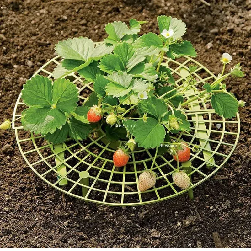 1Pc Strawberry Plant Support R - огляд і ціна Gardening Tools Rack