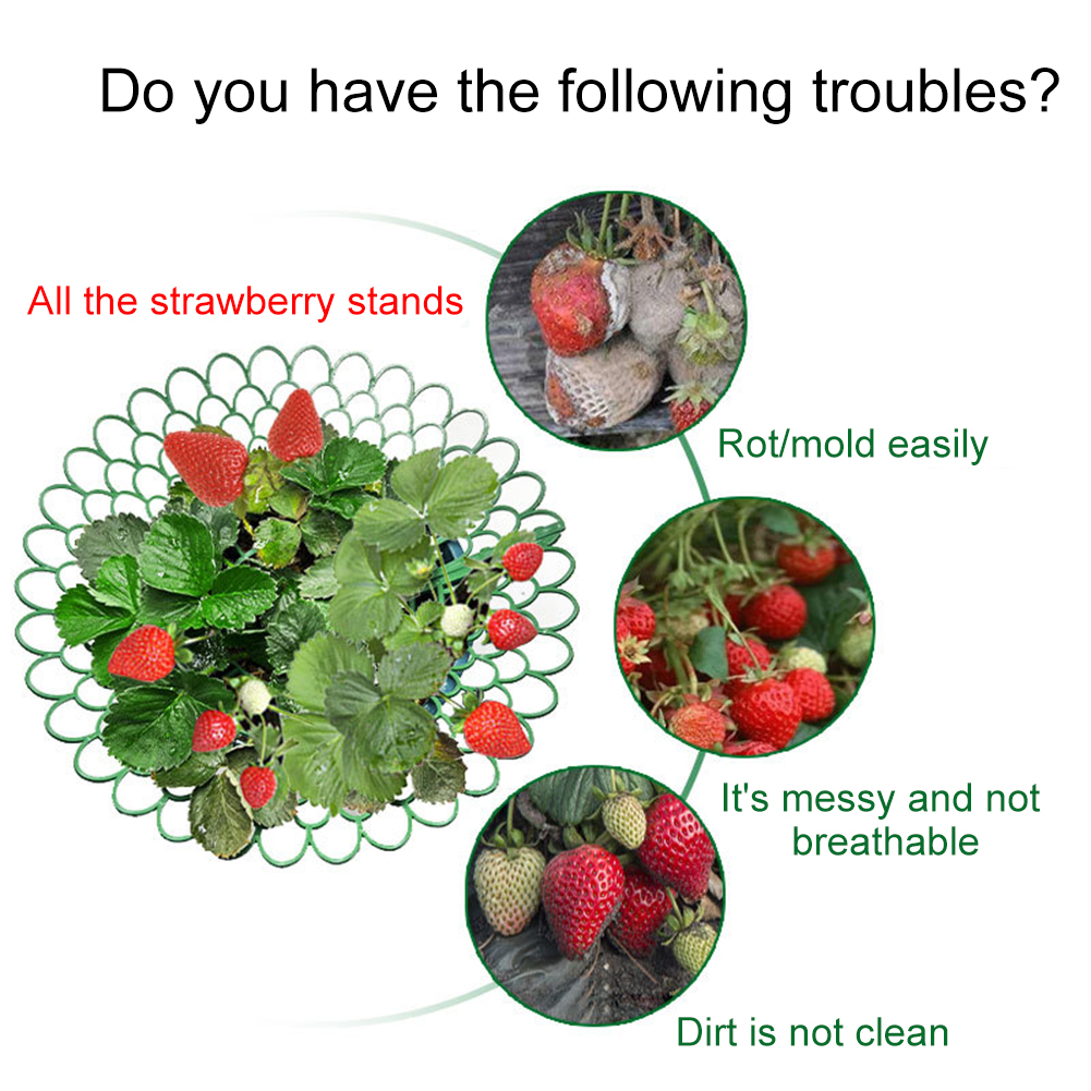 5/10PCS Strawberry Supports Wi - огляд і ціна Gardening Tools Rack