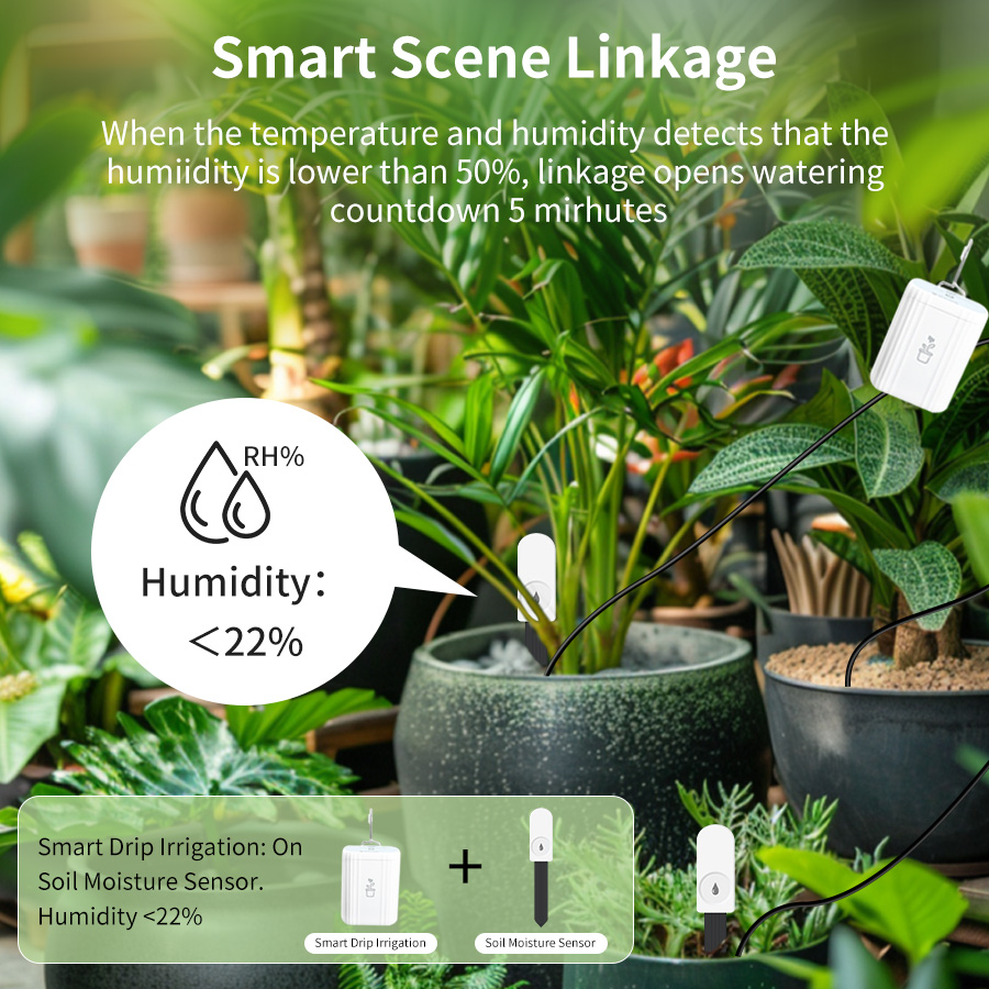 Smart Zigbee 3.0 Soil Tester H - огляд і ціна Moisture Meter Plant