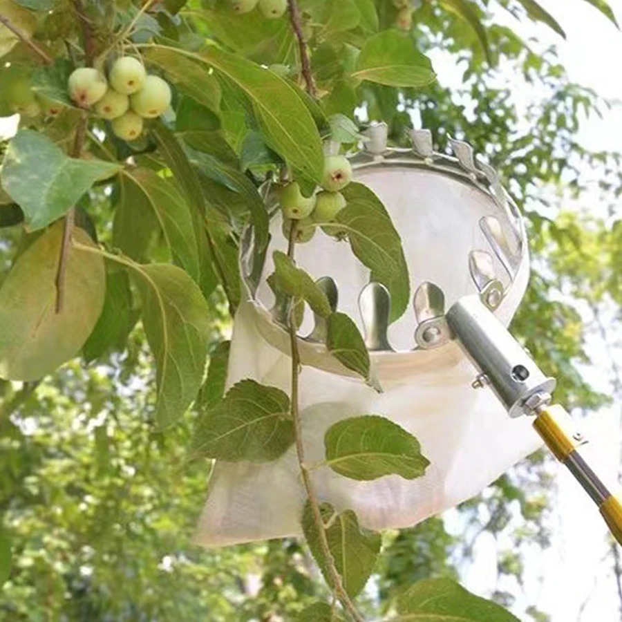 Professional Berry Picker Tool - огляд і ціна Gardening Tools Rack