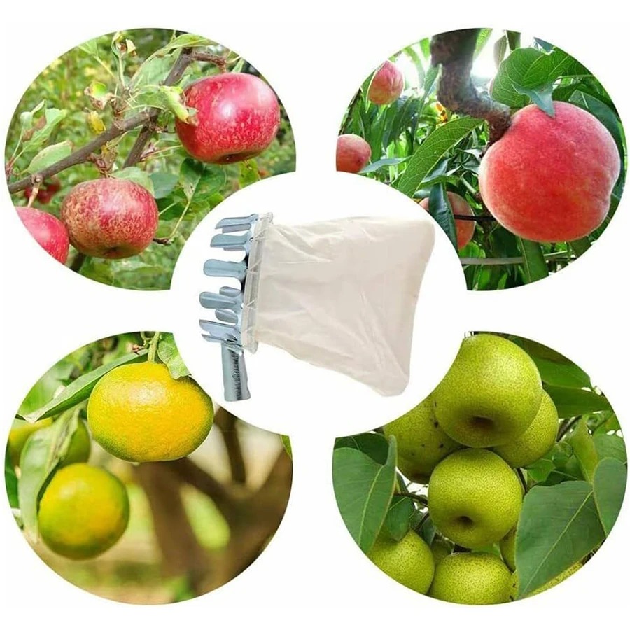 Professional Berry Picker Tool - огляд і ціна Gardening Tools Rack