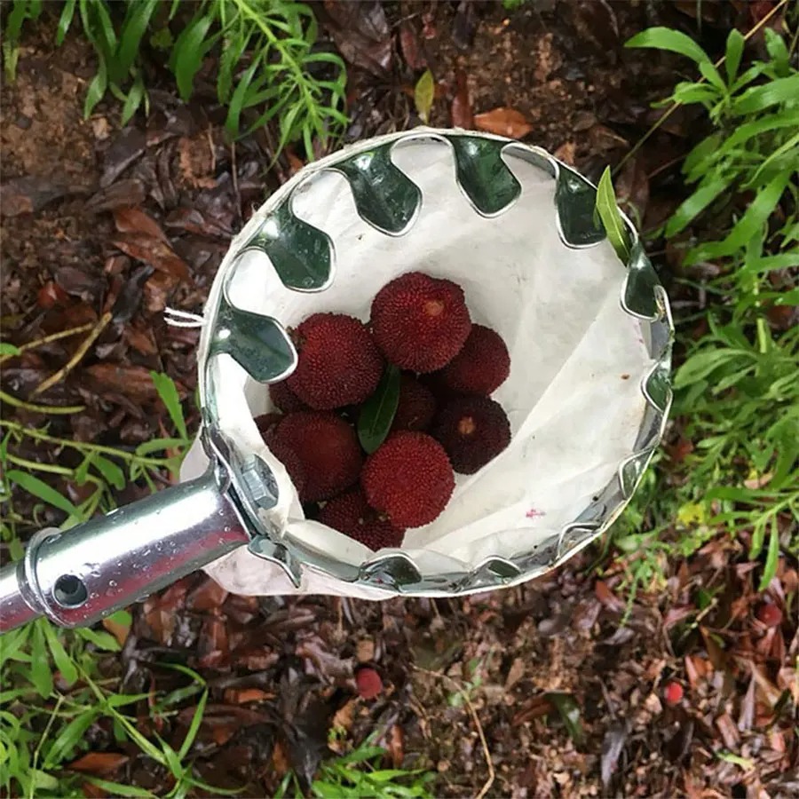 Professional Berry Picker Tool - огляд і ціна Gardening Tools Rack