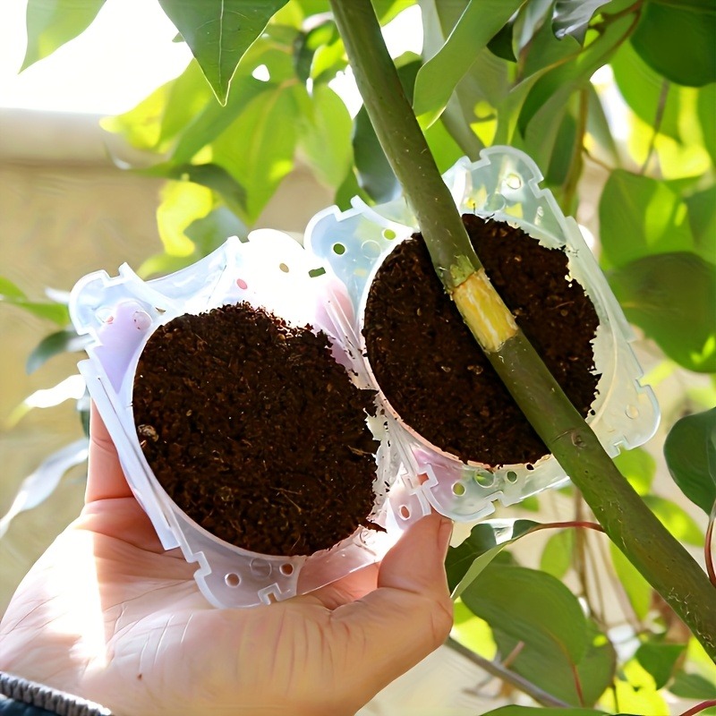 10Pcs High Pressure Plant Root - огляд і ціна Gardening Tools Rack