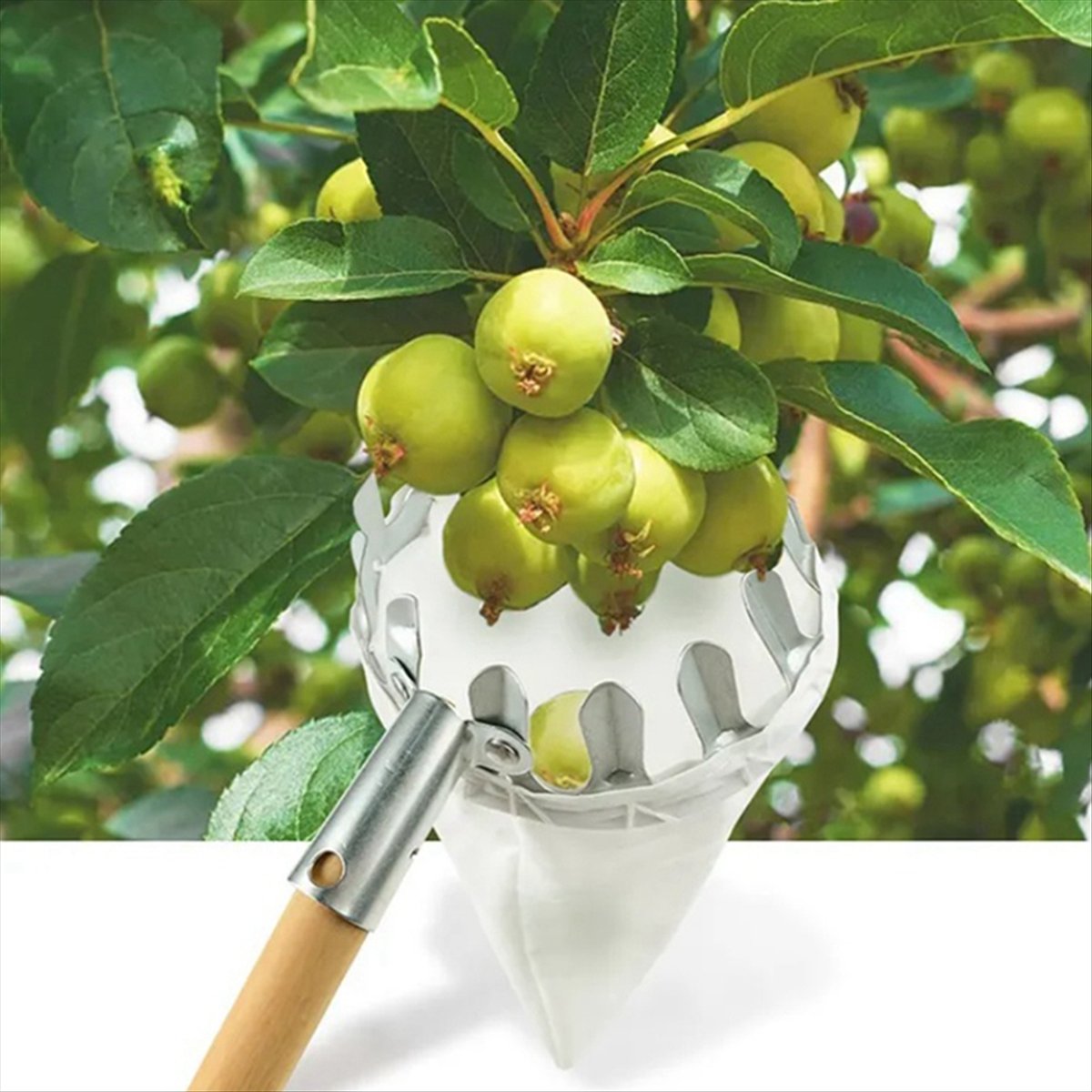 【Clearance Sale】Metal Fruit Pi - огляд і ціна Gardening Tools For Sale